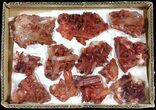 Natural Red Quartz Clusters (Wholesale Lot) - Pieces #61634-1